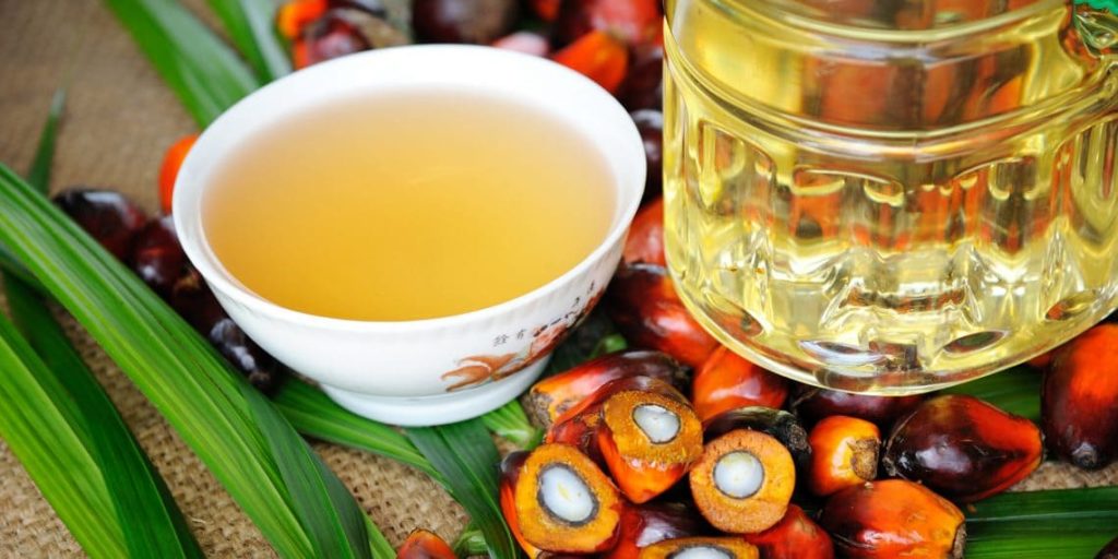 польза и вред пальмового масла